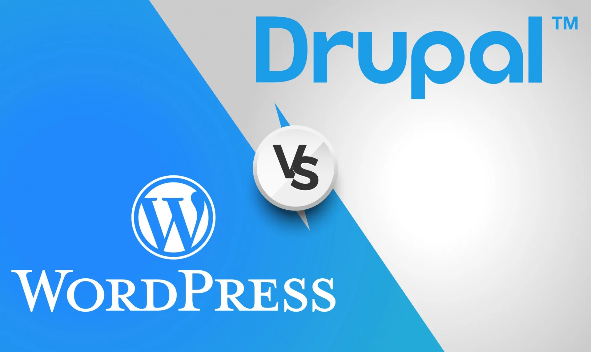 Drupal 9 vs. WordPress: Finding the Right Fit for Your Website